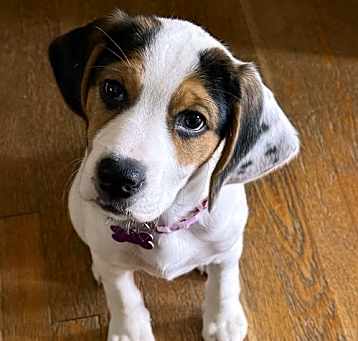Photo of Winnie Cooper
