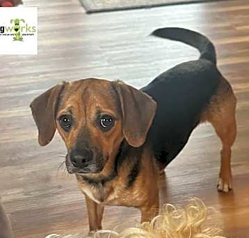 Photo of Wally