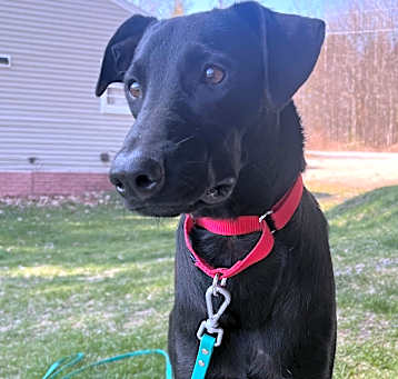 Photo of Ezra