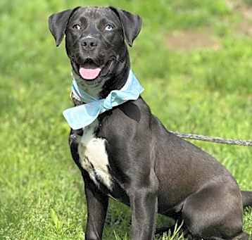 Photo of Penelope