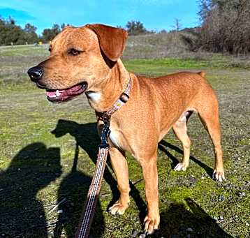 Photo of Doby