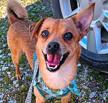 Photo of Max