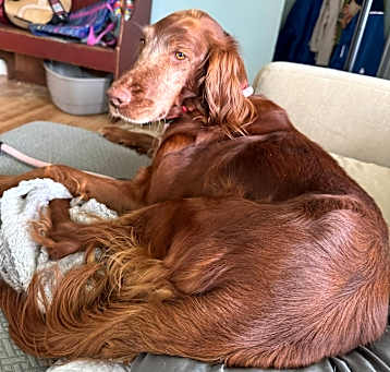 Photo of Marti