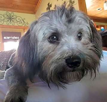 Photo of Gunner