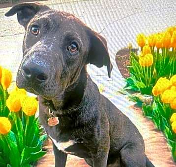 Photo of WALLY