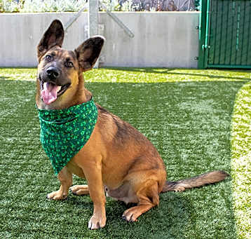 Photo of MAX