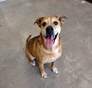 Photo of Bentlee