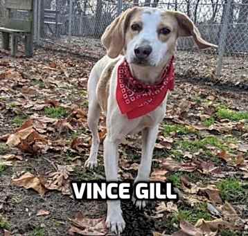 Photo of Vince Gill
