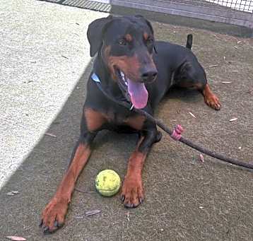 Photo of NOVA