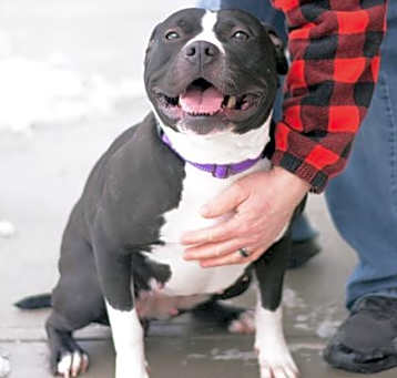 Photo of Buffy