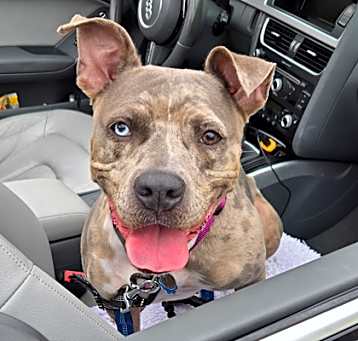 Photo of Ms Athena