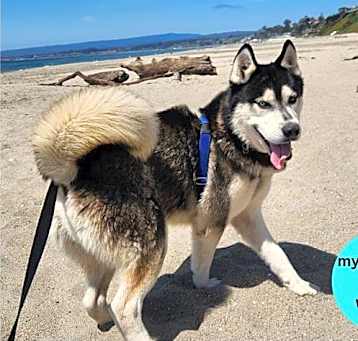 Photo of MAX