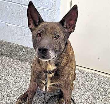 Photo of SMOKY