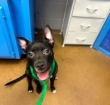 Photo of Sprout