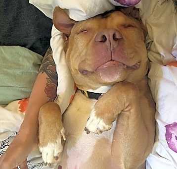 Photo of Rudy