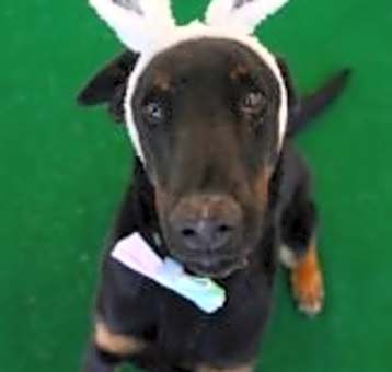 Photo of Chuck