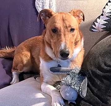 Photo of Ralphie