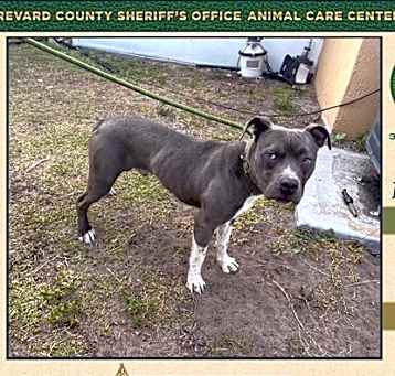 Photo of Zephyr