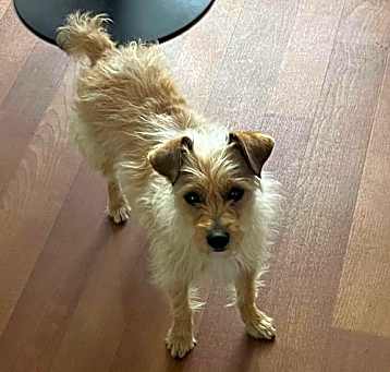 Photo of Lucy