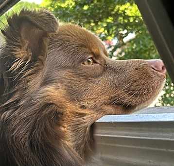 Photo of Leo