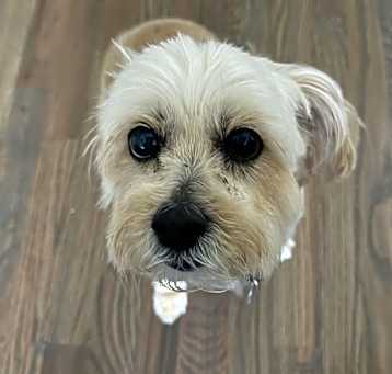 Photo of Maggie