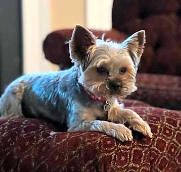 Photo of Brady