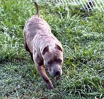 Photo of Xena