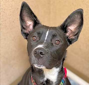 Photo of *KIKI