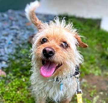 Photo of CHASE