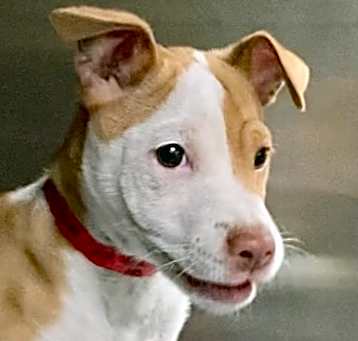 Photo of Junie *SN*