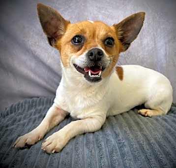 Photo of KIKI