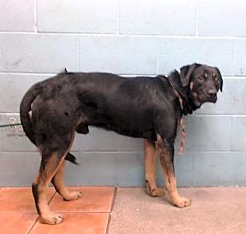 Photo of TROY