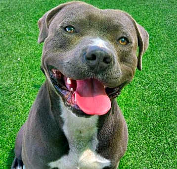Photo of ZUES