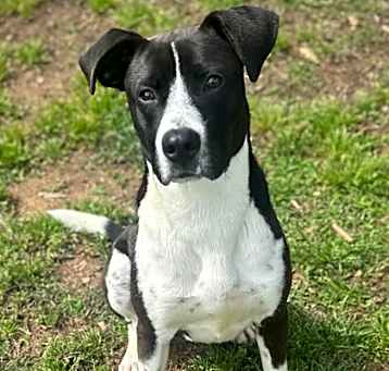 Photo of Kody