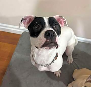 Photo of Betty