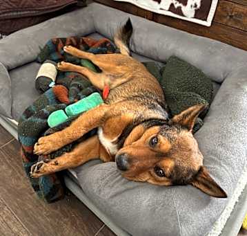 Photo of Chili