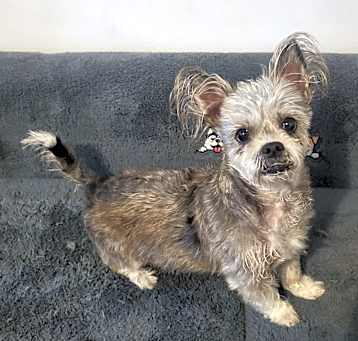 Photo of Maggie