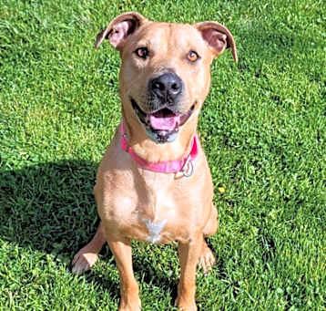 Photo of Winnie