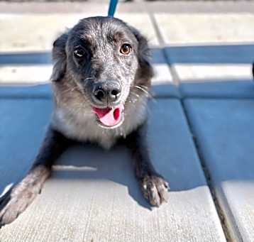 Photo of Archer