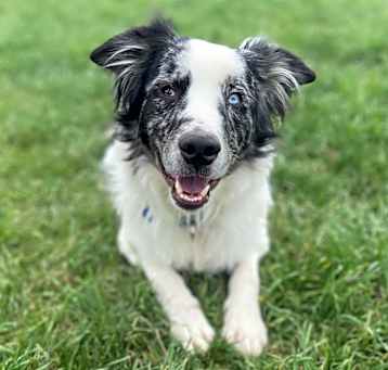Photo of Jax