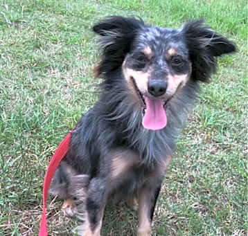 Photo of Rocket 