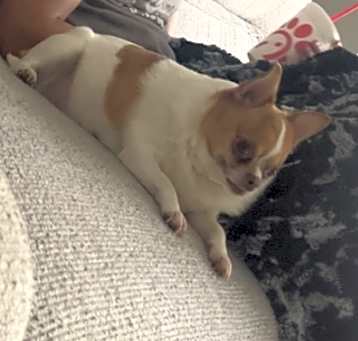 Photo of Winnie
