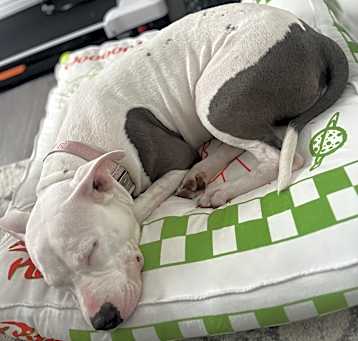 Photo of Maya