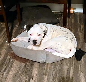 Photo of Biggie