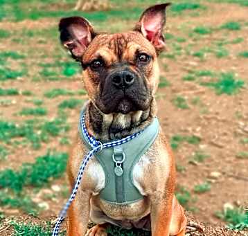 Photo of Cleo