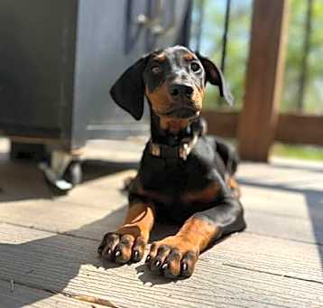 Photo of Maren