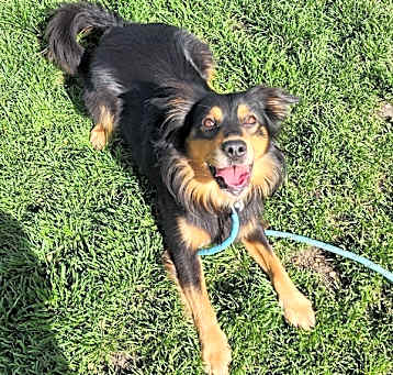 Photo of Zoose
