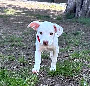 Photo of ELSA