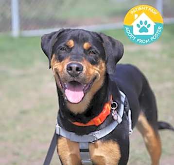 Photo of Bella Bo-Ella