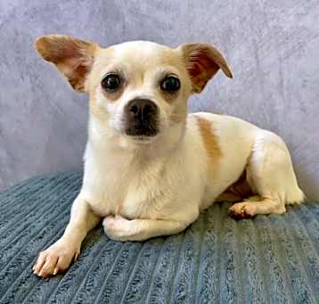 Photo of LULU